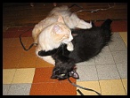 0091 2 juillet 2006